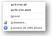 Détection d'erreur de grammaire